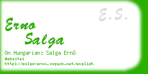 erno salga business card