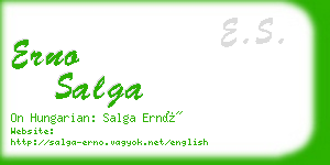 erno salga business card